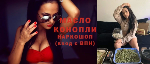 индика Белая Холуница