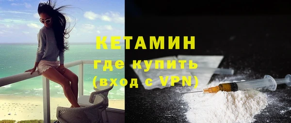 индика Белая Холуница