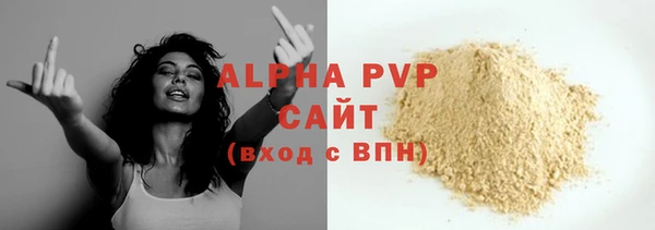 молекула духа Надым