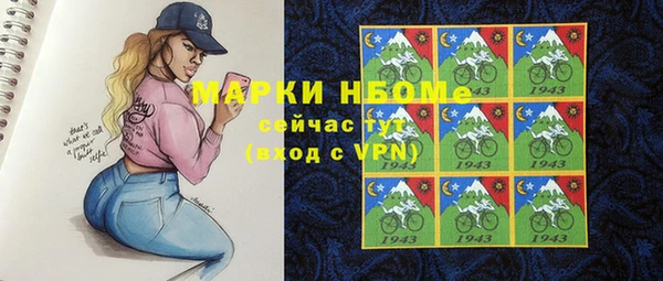 молекула духа Надым
