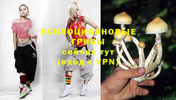 молекула духа Надым