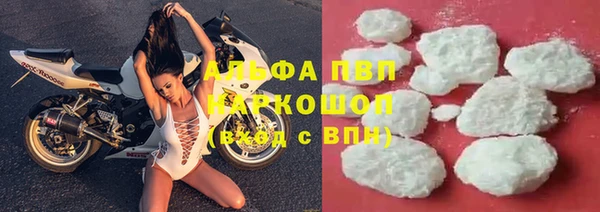 молекула духа Надым