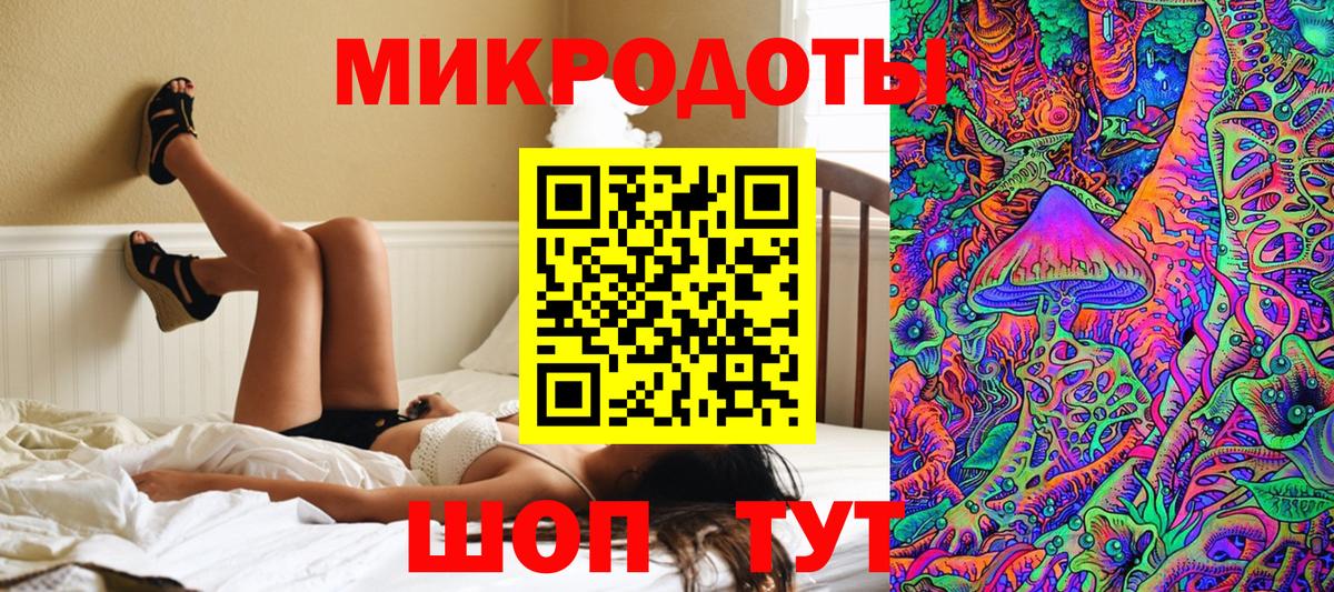 Галлюциногенные грибы Psilocybe Барнаул